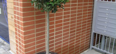 Red Rustic brick slips