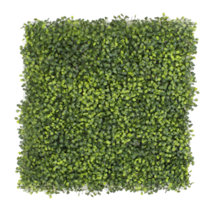 Boxwood Artificial Living Wall per Square Meter [17211]